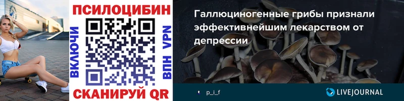 Псилоцибиновые грибы ЛСД  купить   omg tor  Архангельск 